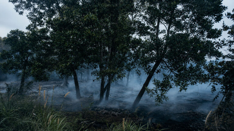 Krisis Karhutla Kotim Makin Mengkhawatirkan, Hotspot Tembus 645 Titik, 285 Hektare Lahan Hangus