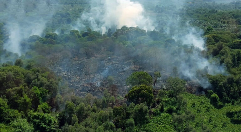 Bara Awal Kemarau Mengganas di Kotim, Sepekan 11 Hektare Lahan Gambut Hangus Lalap Tiga Kecamatan