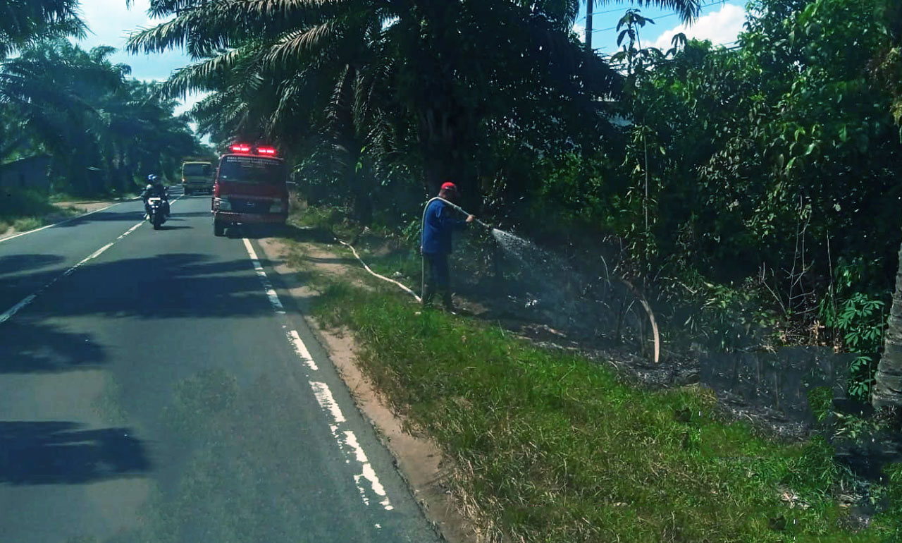Sengaja Dibakar di Pinggir Jalan Raya Titik Api Baru HM Arsyad Menelanjangi Bebalnya Hukum di Tengah Cekaman Karhutla Kotim