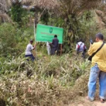 Perlawanan Baru di Pelantaran: Keluarga Maleca Siapkan PK Lawan Eksekusi 85,28 Hektare Sawit