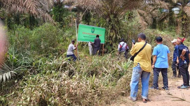 Perlawanan Baru di Pelantaran: Keluarga Maleca Siapkan PK Lawan Eksekusi 85,28 Hektare Sawit