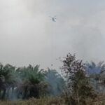 Water Bombing Kembali Dikerahkan, Karhutla Dekati Permukiman Warga di Sampit