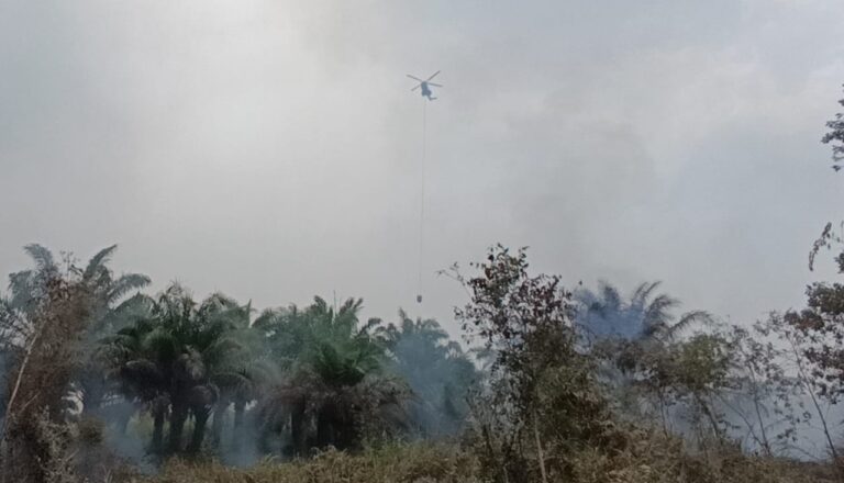 Water Bombing Kembali Dikerahkan, Karhutla Dekati Permukiman Warga di Sampit