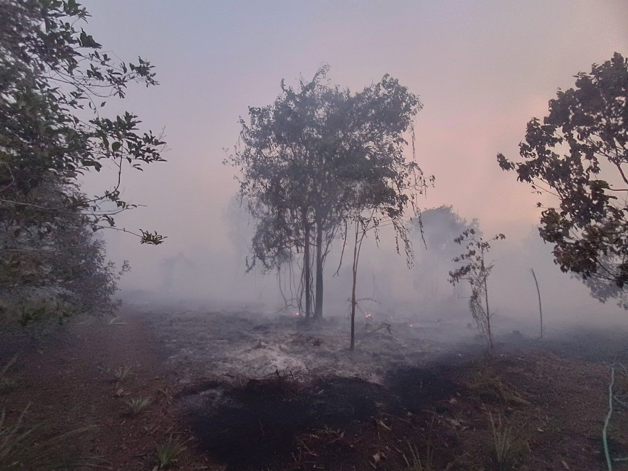 Karhutla Kapten Mulyono Sampit Jadi Pertarungan Panjang, Api Masih Berasap di Hari Ketiga