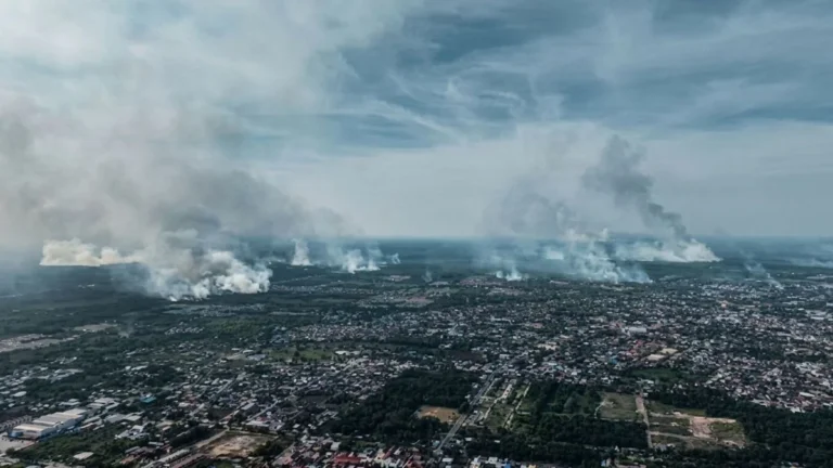 Negara Kewalahan saat Api Mengepung Kotim: Armada Bermasalah, Nyawa Warga Jadi Taruhan Utama