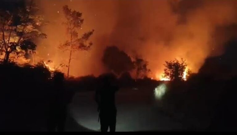 Petani Cempaga Babak Belur Kepung Api Siang-Malam, Mana Bantuan Water Bombing Pemerintah?