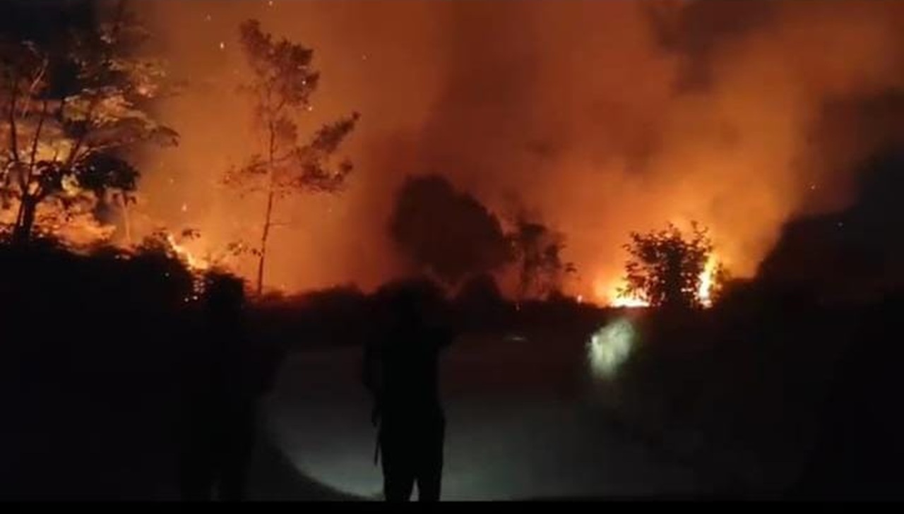 Petani Cempaga Babak Belur Kepung Api Siang-Malam, Mana Bantuan Water Bombing Pemerintah?