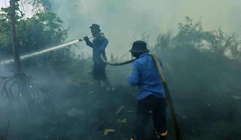 542 Titik Panas Terdeteksi di Kotim, Sampit dan Wilayah Selatan Jadi Konsentrasi