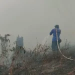 Api Sudah Dipadamkan, Muncul Lagi di Lokasi Berbeda, Bupati Kotim Minta Aparat Awasi Dugaan Pembakaran Sengaja