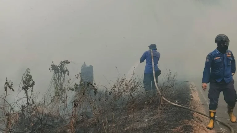 Api Sudah Dipadamkan, Muncul Lagi di Lokasi Berbeda, Bupati Kotim Minta Aparat Awasi Dugaan Pembakaran Sengaja