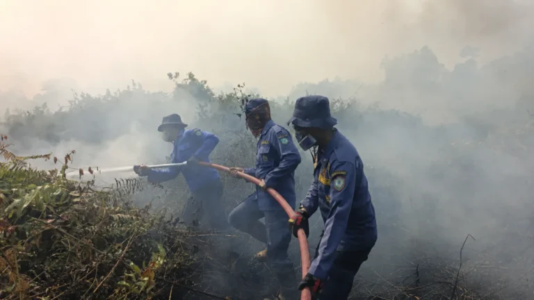 Menghirup Udara Kegagalan: Petaka Asap ”Memaksa” Warga Kotim Menanggung Rapuhnya Mitigasi