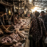 Daging Ayam Ras Penyumbang Inflasi Terbesar Sampit Juli 2026, Disusul Bensin dan Ikan