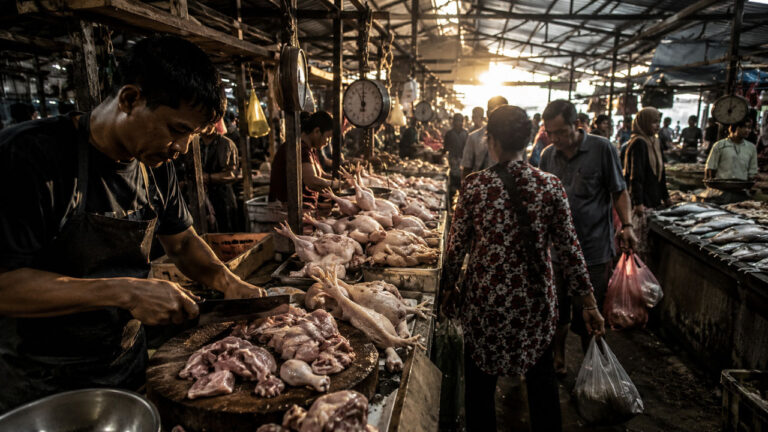 Daging Ayam Ras Penyumbang Inflasi Terbesar Sampit Juli 2026, Disusul Bensin dan Ikan