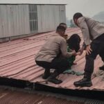 Aksi Tak Terduga di Jekan Raya, ODGJ Naik ke Atap Setelah Rusak Barang Warung