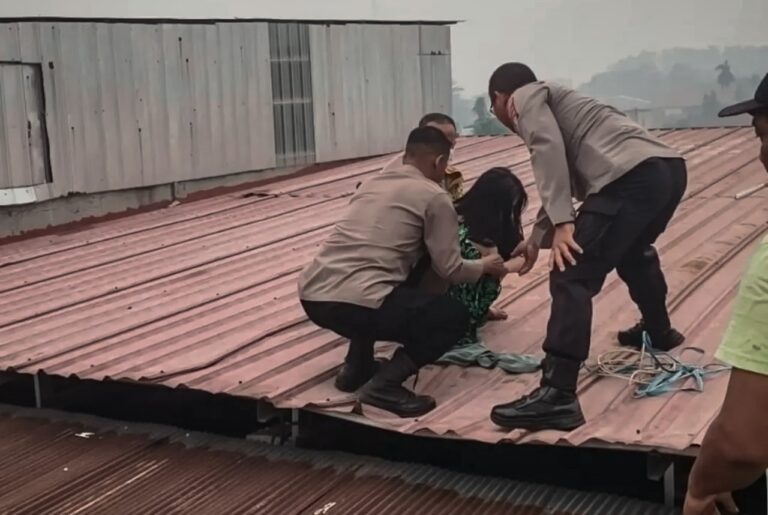 Aksi Tak Terduga di Jekan Raya, ODGJ Naik ke Atap Setelah Rusak Barang Warung