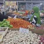 Harga Cabai Rawit Tembus Rp100 Ribu, Ikan Nila Ikut Melambung hingga Rp65 Ribu