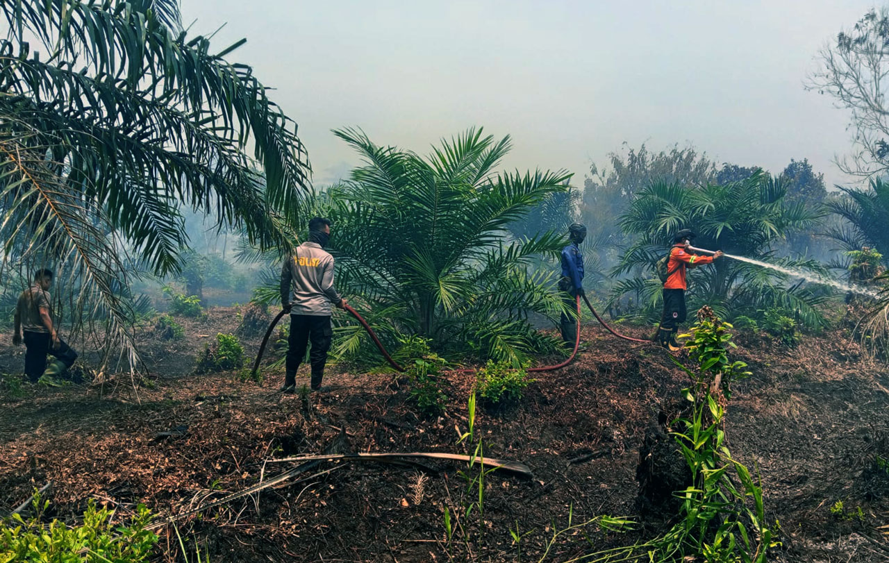964 Hotspot Muncul di Kotim, Pulau Hanaut dan MHU Jadi Sorotan