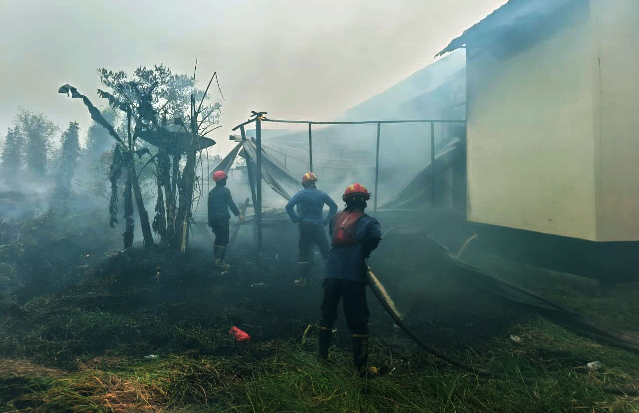 Dari Lahan ke Dapur Rumah, Api Diduga Merambat dan Bakar Dua Bangunan di Ariyaga