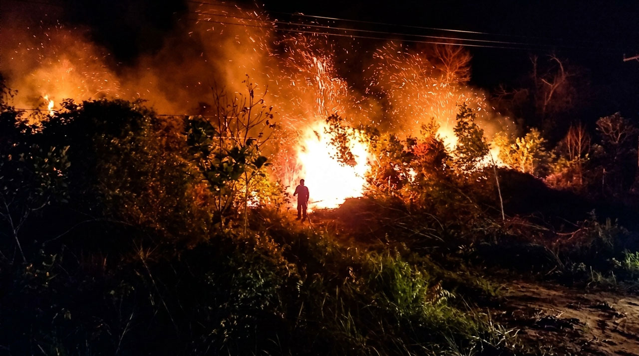 1.706 Hektare Lahan Hangus, Pemkab Kotim Perpanjang Tanggap Darurat Karhutla 15 Hari