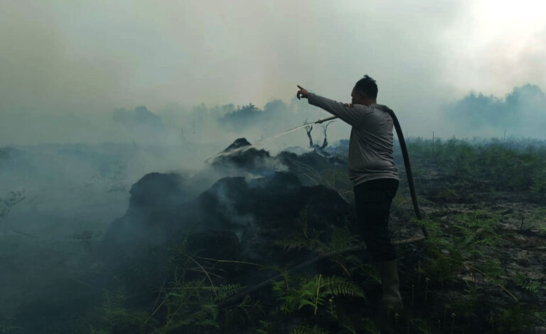 Kepungan Titik Panas di Pesisir Mentaya: Seranau dan Mentaya Hilir Utara Dominasi Hotspot Kotim