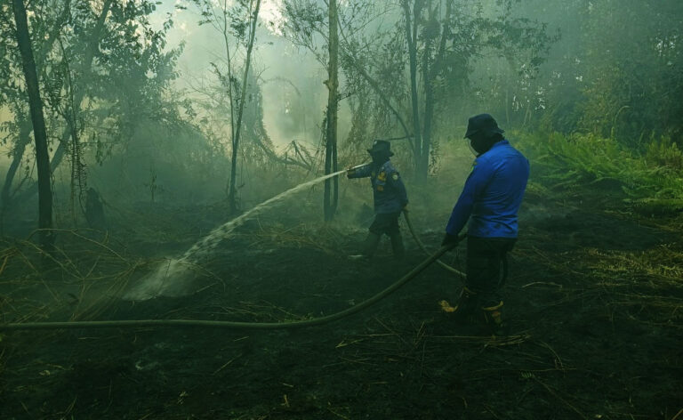 Sinyal Kuat Tanggap Darurat Karhutla dan Kekeringan di Kotim Bakal Diperpanjang hingga Akhir September 2026