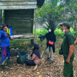 Api Belum Padam, Jejak Orangutan Masih Tertinggal di Kebun Kota Besi Hulu
