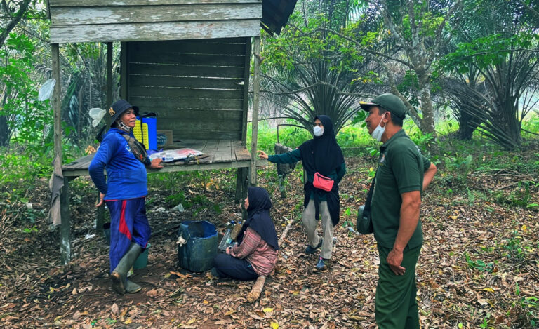 Api Belum Padam, Jejak Orangutan Masih Tertinggal di Kebun Kota Besi Hulu