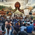 Warga Empat Desa vs Sinar Mas Group: Ngotot KUP, Alasan di Balik Penolakan Plasma PT BAP
