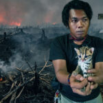 Rumahnya Hangus Terbakar, Anak Kucing Hutan Lucu ini Ditemukan Merayap Sendirian di Bumi Raya Sampit