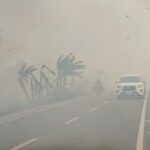Peta Karhutla Kotim: Selatan dan Pesisir Masih Membara, Utara Cenderung Melandai