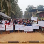 Menyibak Barisan Pakaian Bebas: Jejak Absensi Pabrik di Balik Aksi Tandingan Plasma Seruyan