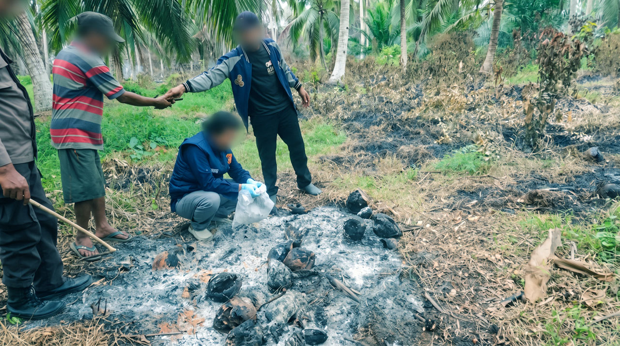 Bakar Pelepah Kelapa Picu Karhutla 30 Hektare di Pulau Hanaut: Pria 54 Tahun Dibekuk Polisi  