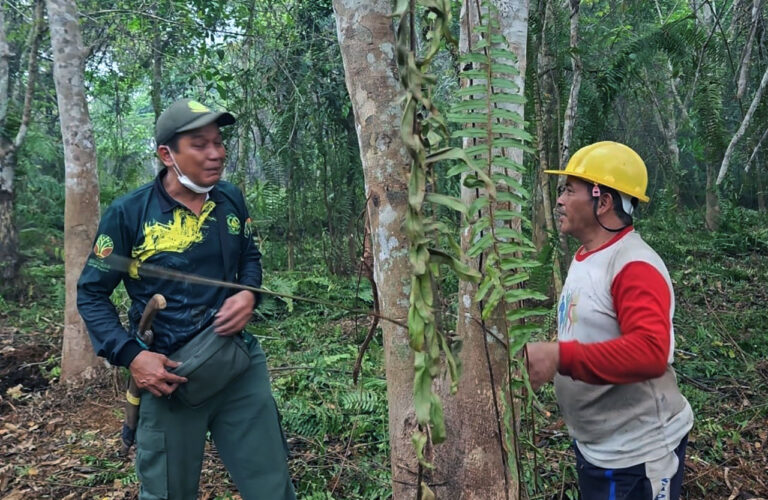 Di Tengah Lahan yang Masih Terbakar, BKSDA Temukan 6 Sarang Orangutan