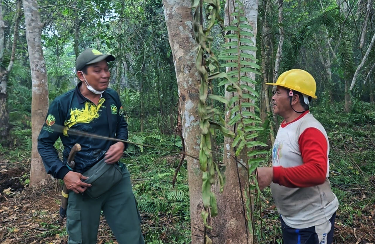 Di Tengah Lahan yang Masih Terbakar, BKSDA Temukan 6 Sarang Orangutan