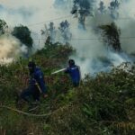 Karhutla Dekat Permukiman: 10 Hektare Semak dan Hutan Terbakar di Bagendang Hilir
