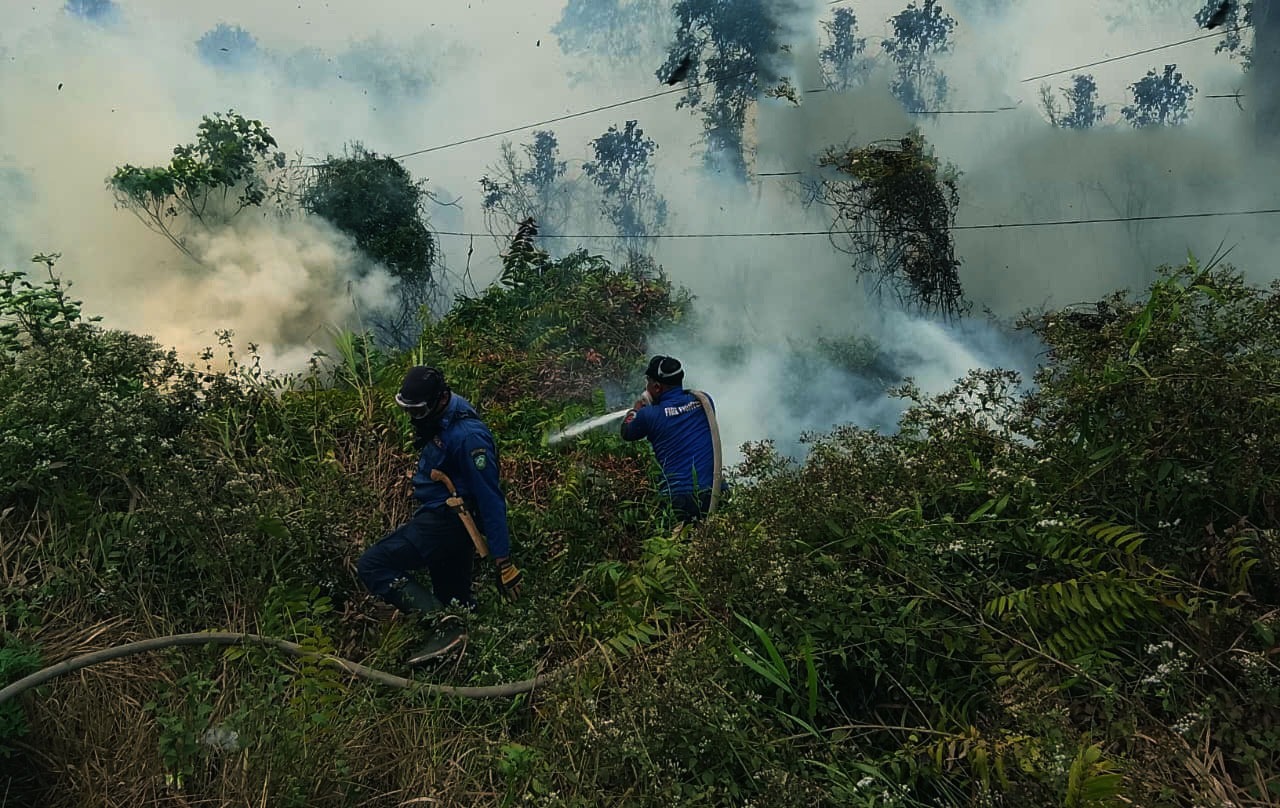 Karhutla Dekat Permukiman: 10 Hektare Semak dan Hutan Terbakar di Bagendang Hilir