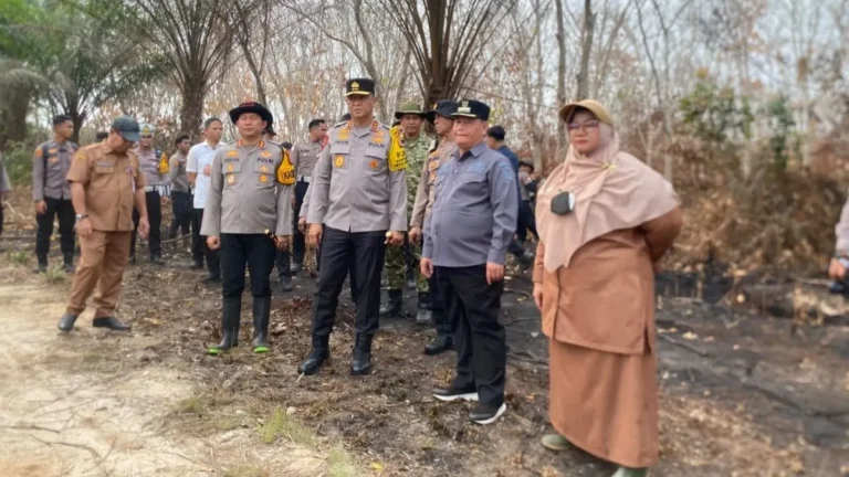Jejak Api Korporasi: Nama-Nama yang Lenyap dari Pengumuman Perkara Karhutla Kalteng