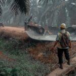 Misteri Dentuman Bergetar dan Benda Menyerupai Bangkai Pesawat Gempar di PT Agro Bukit Kotim!
