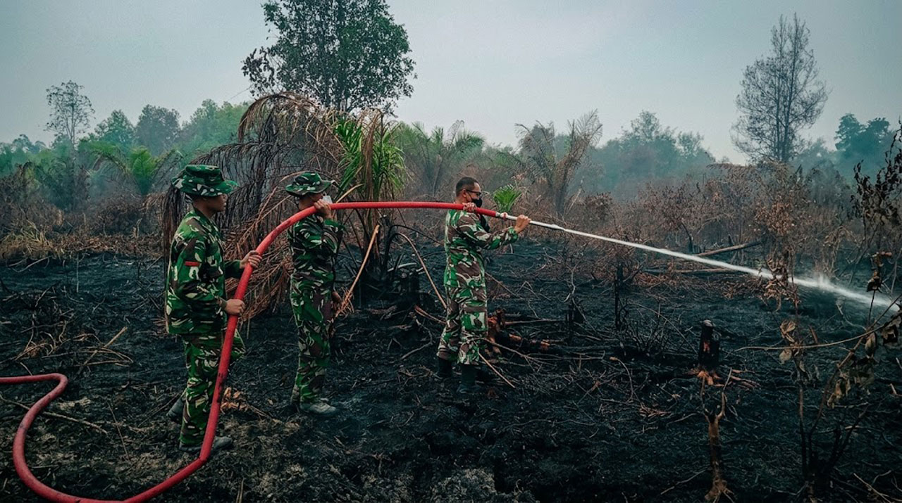 Perang Panjang Setelah Api Padam: Sinergi Pasukan Gabungan Basahi Ekosistem Gambut Kritis Kotim